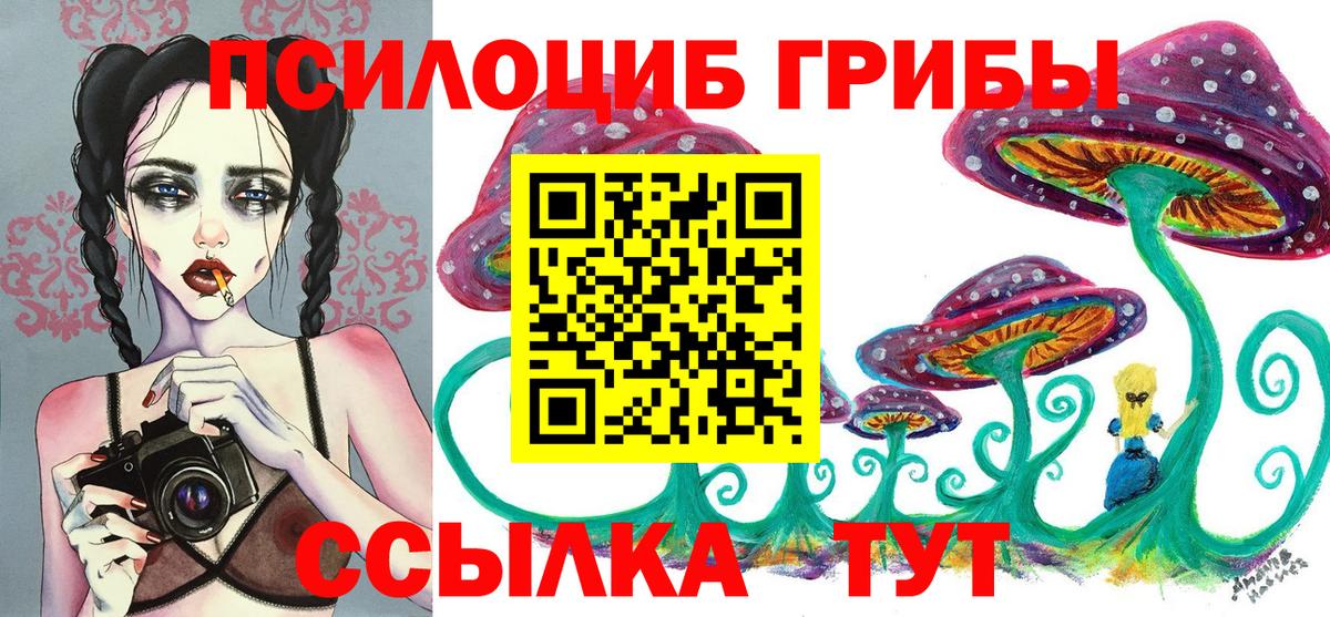 Псилоцибиновые грибы MAGIC MUSHROOMS  Вход с VPN  Ливны 